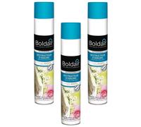 Boldair Lot de 3 Aérosols 500 ml Désodorisant destructeur d'odeurs Fleurs boisées