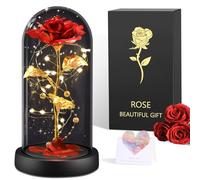 BOLEi Rose Eternelle Cadeau pour Femmes, Rose sous de La Belle et La Bête, Rose Rouge Classique avec LED, Présent Romantique pour Femme, Cadeaus pour Elle, Maman Amie Épouse Sœur