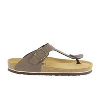 Bolero Homme Plakton 175081 - Marron - 41