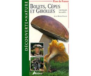 Bolets, cèpes et girolles
