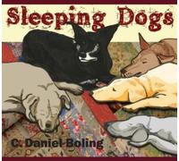 Sleeping Dogs
