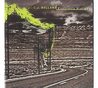Bolland,C.J. - Electronic Highway