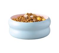 Bols de chats | Plat de bol à eau en céramique | Bol d'alimentation du chaton | Asset d'alimentation du chaton | Repas chauds Cat Dish Micro-ondes Design sûr | Bols pour animaux de compagnie pour anim