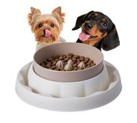 Bols de Nourriture pour Chat Anti-Fourmis Plateau Anti-déversement canin | Gamelles de chat d'extérieur Pour intérieur extérieur table voiture plein air sol Blanc