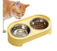 Bols d'eau pour animaux Plateau Double Antidérapant en Acier Inoxydable