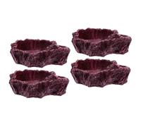 Bols for Reptiles et Amphibiens, Plat à Eau for Reptiles, 4 pièces for Bassin à Eau for Reptiles, Bol for vers de Farine, mangeoire for Reptiles, Bol for Reptiles, mangeoire for Reptiles