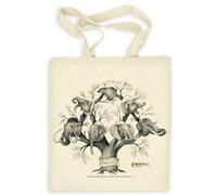 Bolsa La Selección Natural - [Livre en VO] Garca, Ester, (Auteur)