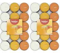 Bolsius - 30 Bougies Chauffe-Plat Parfumées - Canneberge - Durée de Combustion de 3.5 Heures - Diamètre 38 mm - Extraits Naturels - Contient de la Cire Végétalienne - Sans Huile de Palme (Lot de 2)