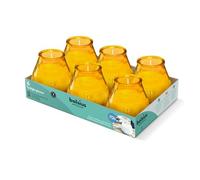 Bolsius - Bougies D'extérieur - 6 Pièces - En Verre - Ambre - Durée de Combustion 70 Heures - Sans Huile de Palme - Combustion Propre - Mèche en Coton, Orange