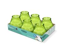Bolsius - Bougies D'extérieur - 6 Pièces - En Verre - Vert - Durée de Combustion 70 Heures - Sans Huile de Palme - Combustion Propre - Mèche en Coton