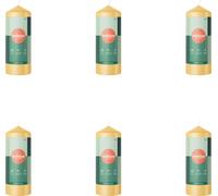 Bolsius - Bougies - Essentials - 150/58 - 1 par paquet - Beige Avoine - Pack avantage - 6 pièces