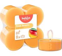 Bolsius - True Scents - Lot de 8 Bougies Chauffe-Plat Maxi Parfum - Mangue - Longue durée de Combustion de 8 Heures - Extraits naturels - Cire végétalienne - sans Huile de Palme