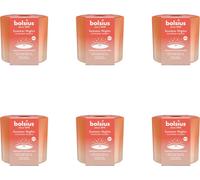 Bolsius - Nuits d'été - Mèche en bois - 80/90 - Ivoire - Pack avantage - 6 pièces