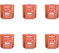 Bolsius - Nuits d'été - Mèche en bois - 80/90 - Terracotta - Pack avantage - 6 pièces