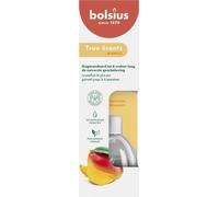 Bolsius True Scents - Bâtons à parfum Diffuseur de parfum - Mangue - 1 pc - 60 ml - jusqu'à 6 semaines - Parfum d'intérieur - aux extraits naturels