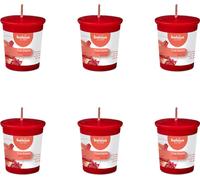 Bolsius - True Scents - Bougie votive ronde - 53/45 - Grenade - Pack avantage - 6 pièces