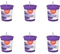 Bolsius - True Scents - Bougie votive ronde - 53/45 - Lavande - Pack avantage - 6 pièces