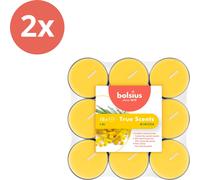 Bolsius - True Scents - Bougies parfumées - 18 pièces par paquet - Mimosa - Pack avantageux - 36 pièces - 2 emballages
