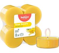 Bolsius - True Scents - Lot de 8 Chauffe-Plat Maxi Parfum - Mimosa - Longue durée de Combustion de 8 Heures - Extraits naturels - Cire végétalienne - sans Huile de Palme