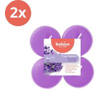 Bolsius - True Scents - Maxi - Bougies à réchaud parfumées - 8 pièces par paquet - Tasse claire - Lavande - Pack avantage - 16 pièces - 2 emballages
