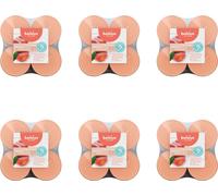 Bolsius - True Scents - Maxi - Bougies à réchaud parfumées - 8 pièces par paquet - Tasse claire - Pêche - Pack avantage - 48 pièces - 6 Emballage