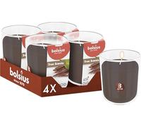 Bolsius - True Scents - Oud Wood - Marron - Lot de 4 Bougies Parfumées - 9,7 x 8,5 cm - Durée de combustion: 45 heures - Avec extraits naturels - Cire végétale naturelle - Sans huile de palme