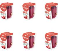 Bolsius - True Scents - Pot de senteur - 80/73 - Grenade - Pack avantage - 6 pièces