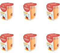 Bolsius - True Scents - Pot de senteur - 80/73 - Mangue - Pack avantageux - 6 pièces