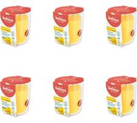 Bolsius - True Scents - Pot de senteur - 80/73 - Mimosa - Pack avantage - 6 pièces