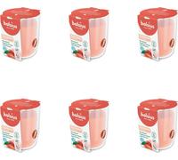 Bolsius - True Scents - Pot de senteur - 80/73 - Pêche - Pack avantage - 6 pièces
