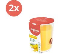 Bolsius - True Scents - Pot de senteur - 97/85 - Mimosa - Pack avantage - 2 pièces