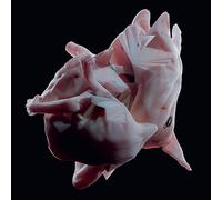 Bolt Ruin - Obriultn (Compilation) [Import]