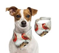 BoltPack Bavoirs triangulaires pour animaux de compagnie avec imprimé cardinal d'hiver, bandana mignon pour chien, chiot et chat, réglable avec boutons-pression