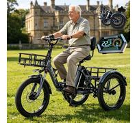 BoluDukNN Tricycle électrique pour Adulte, Vélo électrique Pliable 20 Pouces, écran LCD + Panier Avant Et Arrière, Capacité De Charge 200 Kg, pour Trajets Quotidiens Et Courses Grey