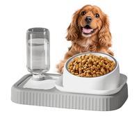 Bolus Anti-Glouton pour Chat Distributeur Automatique 2-en-1 et Mangeoire