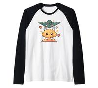 Bombardier B-2 Stealth Avion militaire B2 Bomber Manche Raglan
