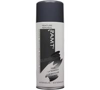 AMT Bombe de peinture aérosol Ardoise