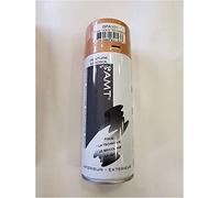 Bombe de Peinture Aérosol Rose Gold Tendance