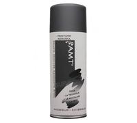 AMT Bombe de peinture Ardoise mat 330ml Intérieur/Extérieur Résistante aux intempéries