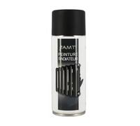 Bombe De Peinture - Noir Mat - Pour Radiateur - Décoration - 330ml - Amt