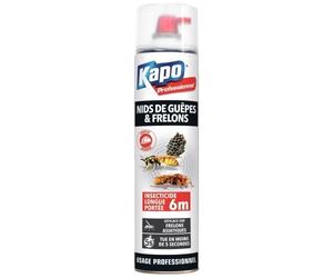 Bombe insecticide spéciale pour nids de guêpes et frelons - 750 ml Kapo