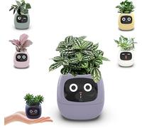 BomKra Pot de fleurs intelligent Plantagotchi, Ai Smart Planter avec expression, Pot de plantes interactif intelligent, 7 capteurs intelligents et écran LCD, pour la décoration intérieure