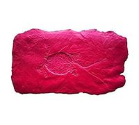 Bon 32-685 Timbre Fossil Tortue