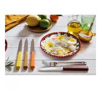 BON APPETIT Coffret de 4 Couteaux de table steak OPINEL Agrumes