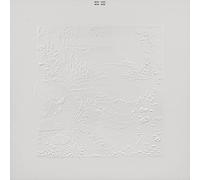 Bon Iver - Bon Iver (10th Anniversary Édition)