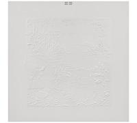 Bon Iver - Bon Iver (10th Anniversary Edition) [Compact Discs]