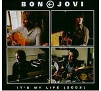 Bon Jovi - It S My Life- Live 03