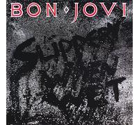 Bon Jovi - Slippery When Wet - CD - E600z