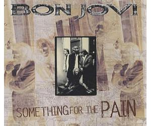 Bon Jovi - Something for The Pain(+3live)