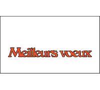 Bon Rétablissement Bonne Année Bon Anniversaire Un jour à célébrer Meilleurs voeux Matrice De Découpe Pour La Fabrication De Cartes Scrapbooking Papier Artisanat À La Main Gaufrage Pochoir